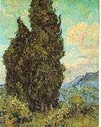 Cypresses